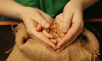هل يجوز إخراج زكاة المال على دفعات شهرية؟.. أمين الفتوى يوضح