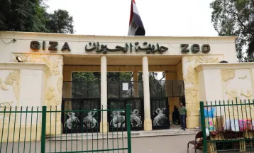 سبتمبر القادم.. افتتاح حديقة حيوان الجيزة أمام الجمهور