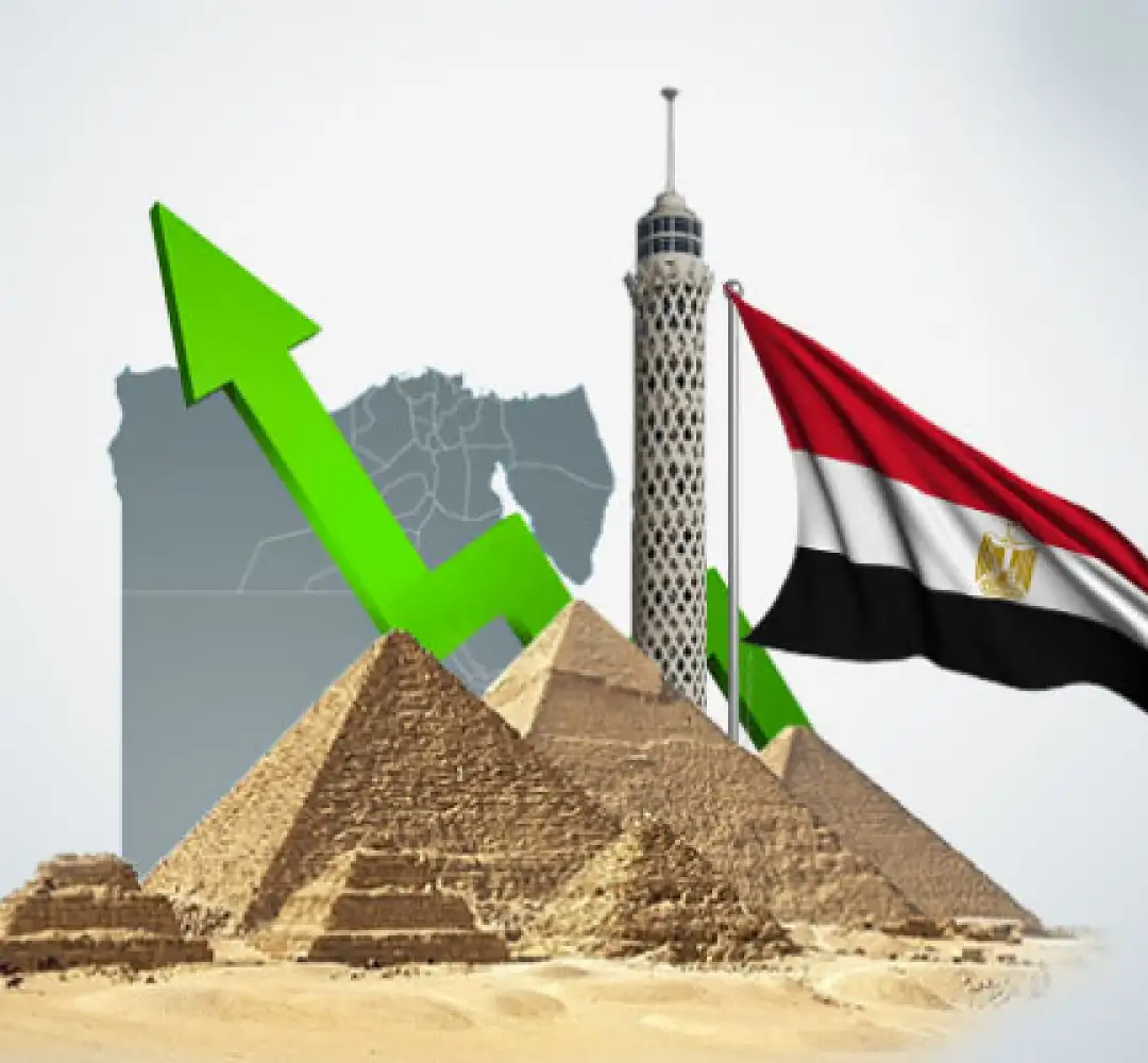 investment-eg-03.jpg